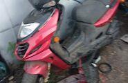 main photo - 67638