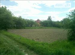 main photo - 118317