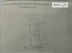 main photo - 118318