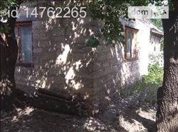 main photo - 118671