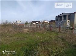 main photo - 118841