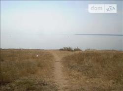 main photo - 118842
