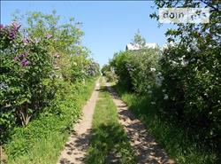 main photo - 118849