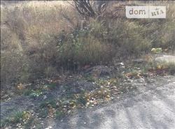 main photo - 119652