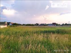 main photo - 120539