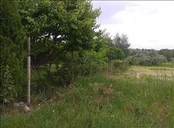 main photo - 120548