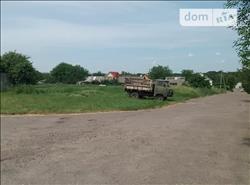 main photo - 123662