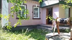 main photo - 126061