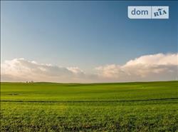 main photo - 126445