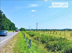 main photo - 126462