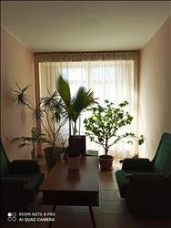 main photo - 129662