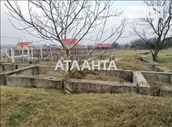 main photo - 138932