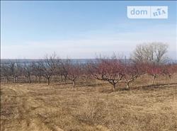main photo - 138954