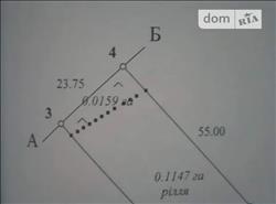 main photo - 153508