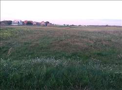 main photo - 153509
