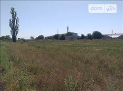main photo - 153601