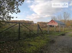 main photo - 153808