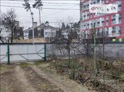 main photo - 175398