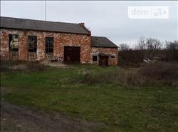 main photo - 176046