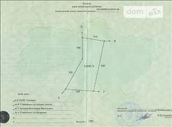 main photo - 176347