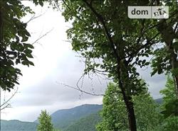 main photo - 176355