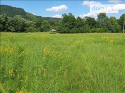 main photo - 176359