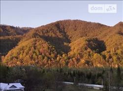 main photo - 176362