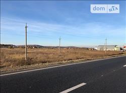 main photo - 176383