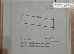 main photo - 197296