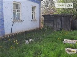 main photo - 197952