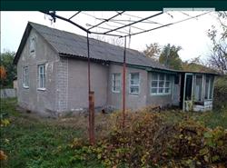main photo - 197955