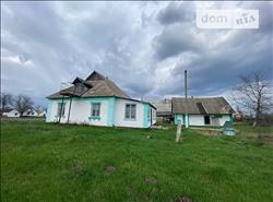main photo - 198024
