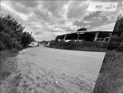 main photo - 208591