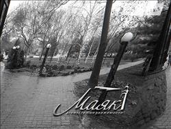main photo - 213304