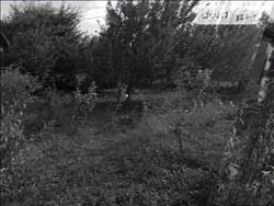 main photo - 214229