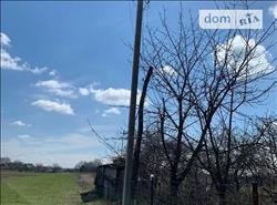 main photo - 214472
