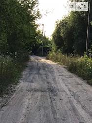 main photo - 214550