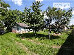 main photo - 214599