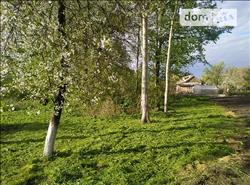 main photo - 214636