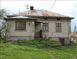 main photo - 214871