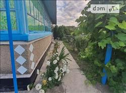 main photo - 214915