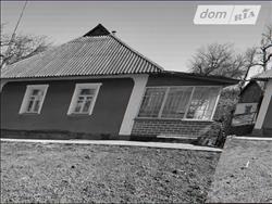 main photo - 214928