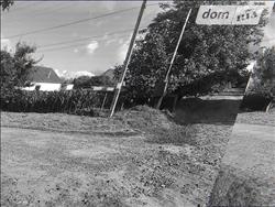 main photo - 214938