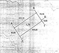 main photo - 217468