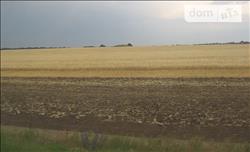 main photo - 218931