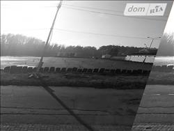 main photo - 223016