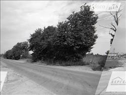 main photo - 226687