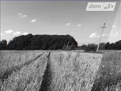 main photo - 226689