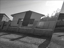 main photo - 229073