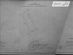 main photo - 229185